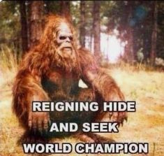 a bigfoot sitting in the middle of a forest with text reading, reigning hide and seek world champion