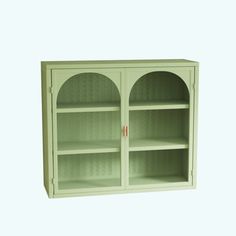 a green bookcase with two doors and shelves