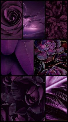 purple flowers and leaves are shown in this collage with the same color as the background