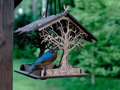 a bird feeder with a blue and brown bird sitting on it's side next to a tree