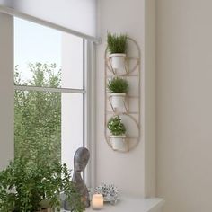 there is a shelf with plants on it next to a window sill and candle