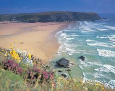 the beach is next to an ocean and some hills with flowers growing on it's sides