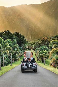 two people are riding in the back of a jeep on a road surrounded by palm trees