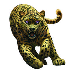 an image of a leopard that is running