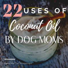 coconut oil in a jar with the words 22 uses of coconut oil by dog moms