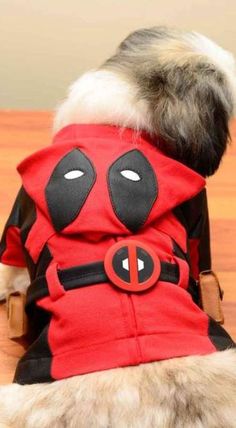 a dog dressed up in a deadpool costume