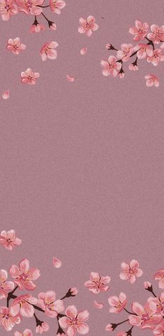 a pink background with cherry blossoms on it