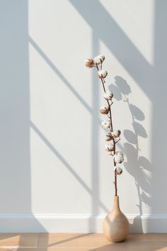 a vase with some flowers in it sitting on the floor next to a white wall