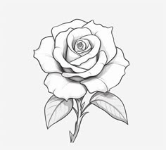 Rich Black Rose Tattoo Sketches Roses And Clock Tattoo For Women, Beauty Rose Tattoo, Tattoos Of Roses, Roses Design Tattoo, Tattoos Rose, Tattoo Rose Designs, Roses Stencil, Rose Outline Tattoo Design