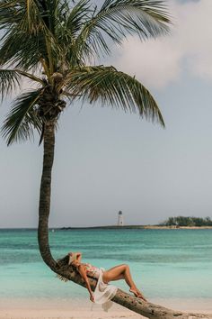 a woman sitting in a tree on the beach