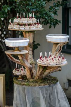 cupcakes are arranged on top of a tree stump