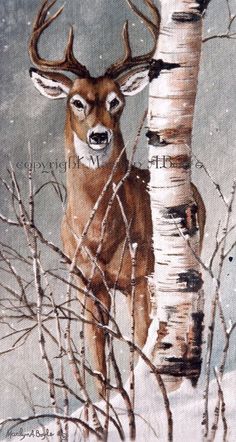 a painting of a deer standing next to a birch tree in the snow by itself