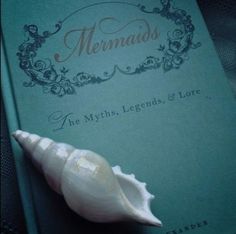 a sea shell sitting on top of a blue book with the words mermaids written on it