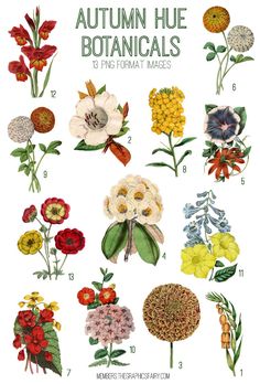 an illustration of flowers with the words autumn hue botanicals on it's side