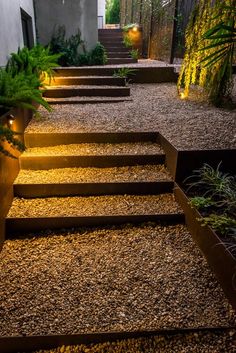 an outdoor garden with steps lit up and plants growing in the planters on either side