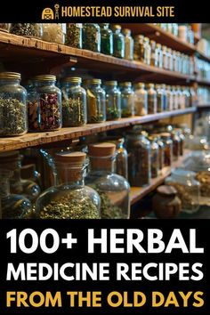 Long before smartphones and pharmacies, our ancestors relied on the wisdom of nature to treat their ailments. This wisdom was passed down through generations, offering remedies that rival or even surpass many of today's over-the-counter medications. Early healers used the power of Earth's bounty by blending herbs and household items to create oils, salves, teas, tinctures, poultices and more. Plus, these lost remedies don't come with additives or harmful side effects. Medicinal Herbs Remedies, Herbal Education, Herbal Medicine Recipes, Diy Herbal Remedies, Medicinal Herbs Garden, Medical Herbs, Herbal Tinctures