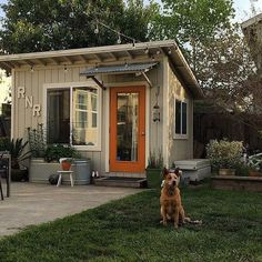 a dog sitting in front of a small house