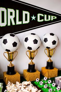 three trophies with soccer balls on them sitting in front of a banner that says world cup