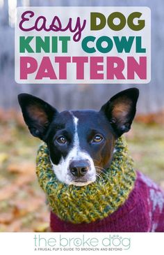 a black and white dog wearing a green knit cowl scarf with the words easy dog knitting pattern on it