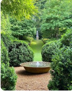 a garden with lots of trees and bushes