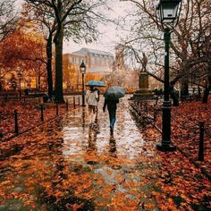 people walking in the rain with umbrellas on a city street at autumn time,