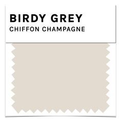 birdy grey chiffon champagne color swat list for interior paint and decorating