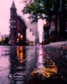 rain is falling on the ground and street lights are reflected in the wet water,