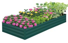 a garden box filled with lots of different types of flowers and plants next to each other