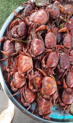 there are many craws in the bowl on the table