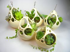 several white vases with plants in them on a table