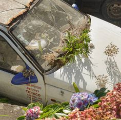 a broken down car with plants growing out of the hood and windows in front of it