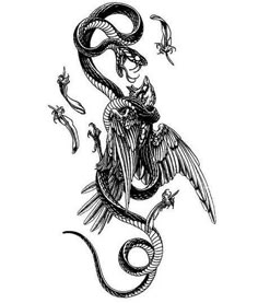 a black and white drawing of a dragon with its wings spread out, sitting on top of