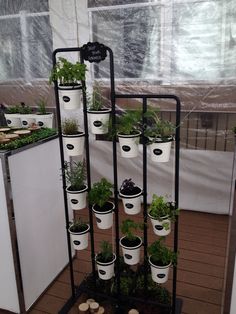 several potted plants are arranged on a metal rack in the middle of a room