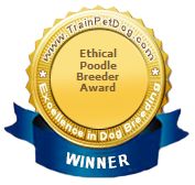 a gold medal with blue ribbon around it and the words, technical poodle breeder award