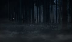 two people standing in the woods at night with their eyes glowing through fogy trees