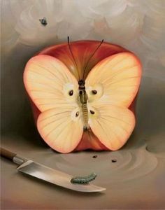 an apple with a butterfly painted on it's side and the words surrealist paintings by vallimir