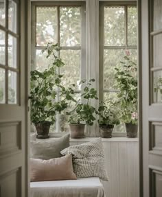 three potted plants sit in the corner of a window sill, next to a couch