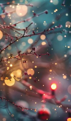 blurry photograph of tree branches with lights in the background