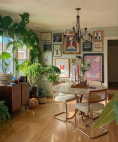 a living room filled with furniture and lots of plants on top of a hard wood floor