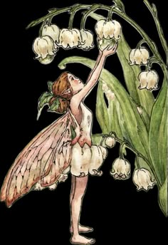 a fairy with lily of the valley flowers in her hand, reaching up to plant