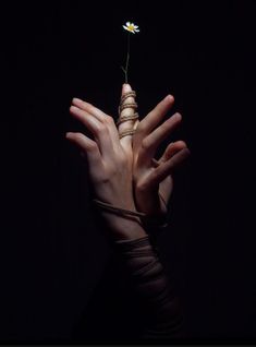 a person's hands holding a flower in the dark with their fingers wrapped around it