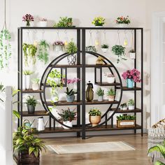 a living room filled with lots of plants and potted plants on top of shelves