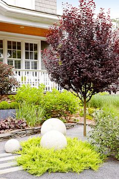 a garden with rocks and plants in front of a house