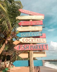 there are many signs on the beach pointing to different places in the world that you can see