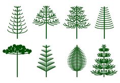 the different types of trees are shown in green