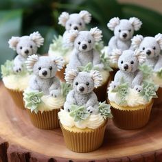 small cupcakes with teddy bears on them