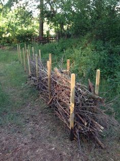 a pile of sticks sitting in the middle of a field next to some bushes and trees