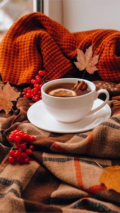 a cup of coffee on a plaid blanket with autumn leaves and cinnamons in the background