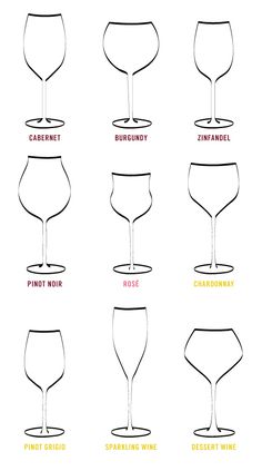 different types of wine glasses with names in each one, and the names below them