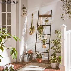 a room with plants and potted plants on the wall next to a door way